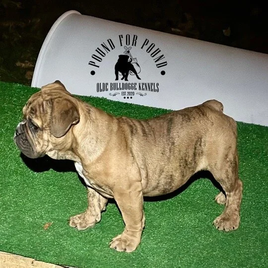 A393D8B1-49A0-49C9-9A2E-98B9E55CEA7D