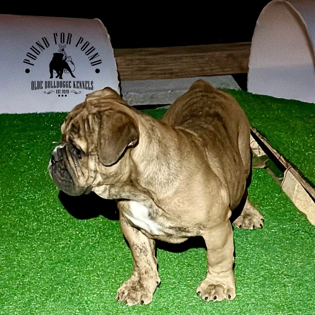 93002BA0-9B9B-4F4A-8D85-852822766EA9