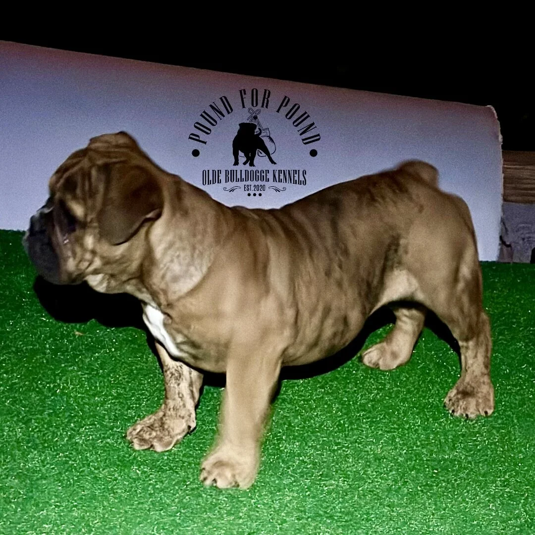 DDE366CE-2F51-448D-9809-7009A81ADA14