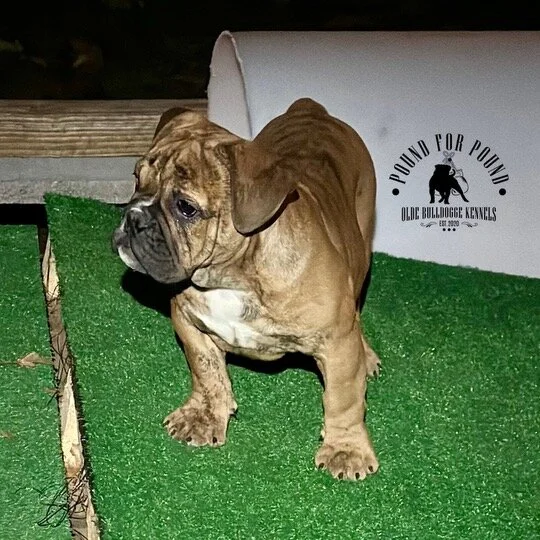 A8709167-0033-4AD2-A83D-FA9DE82CE4CA