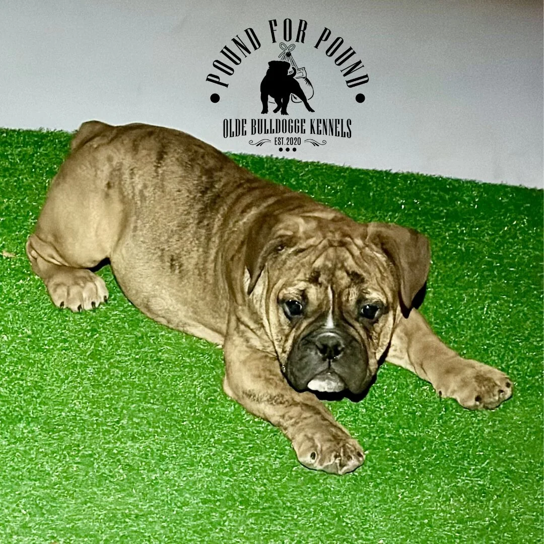 C85EF921-2FBB-4F00-9F9A-71210F4F2AA0