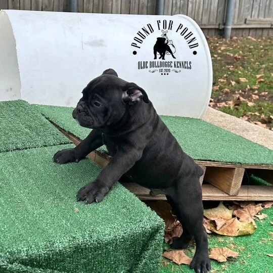 400F0863-8A8C-4684-A213-6965C58B1D74