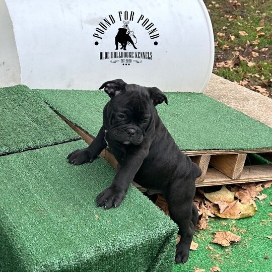 D40AD97F-C680-44BD-83F1-4BC34227B06B