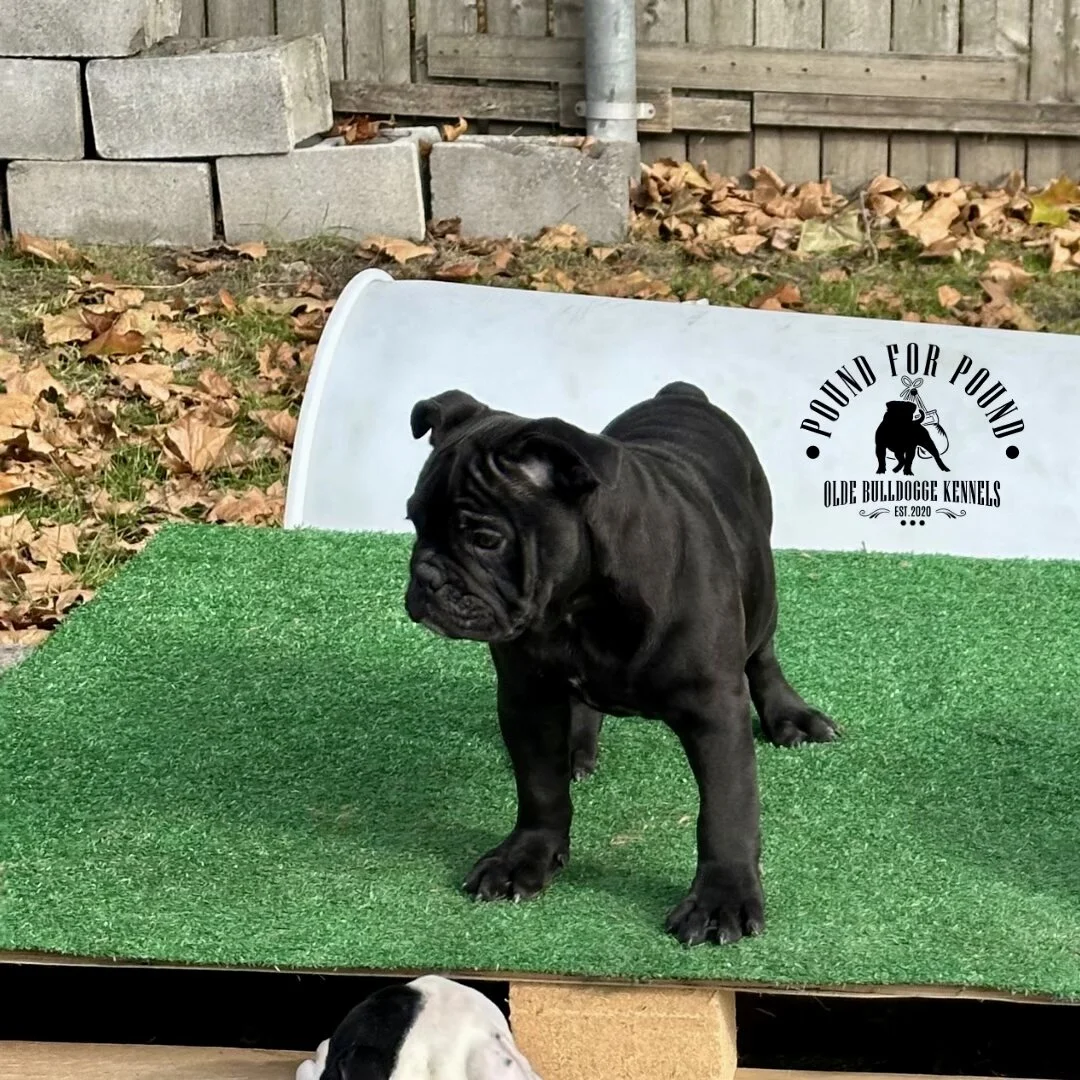 566C86C0-8F84-4F70-BDCE-5C80057D3EE1