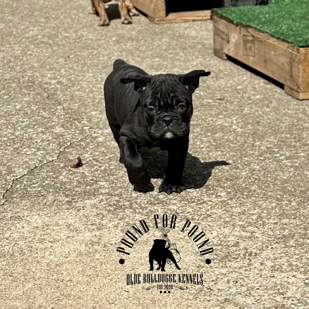 05CE5C3B-23FC-4168-A4C5-502FB512F522