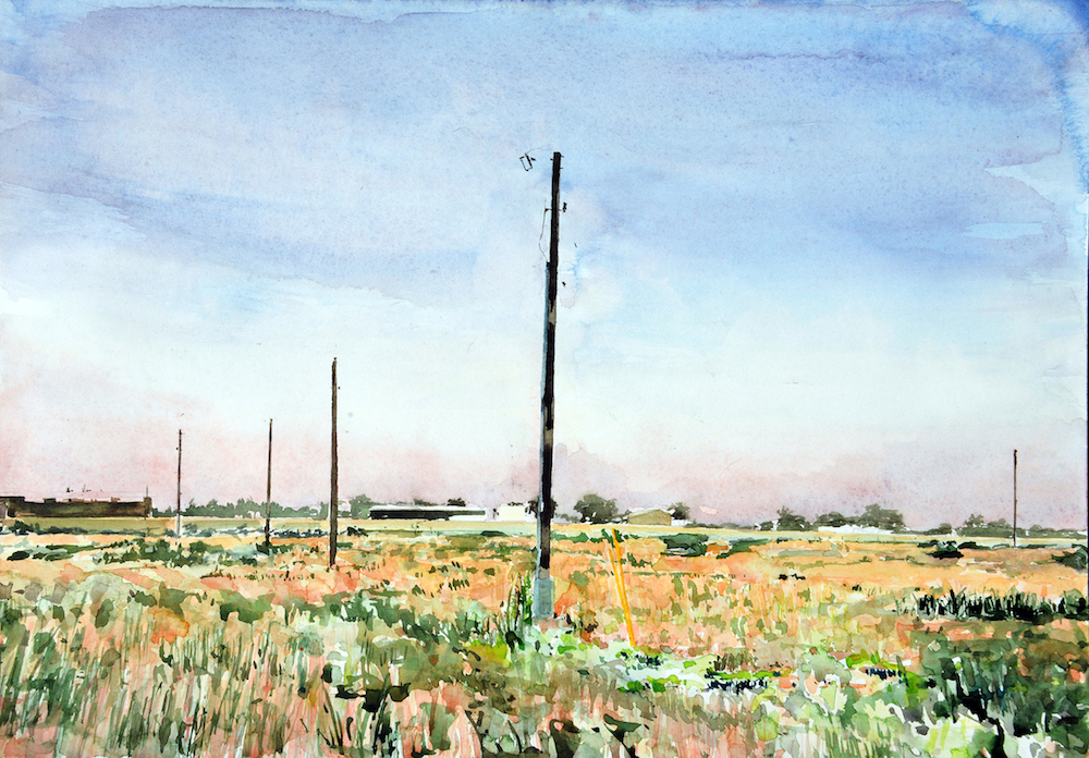 Back Field