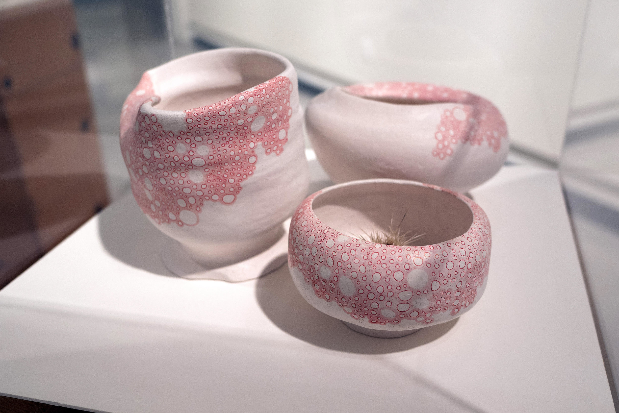 AMoCA Collection | Favorable Points #1-3 , Bisque ceramics, pigment ink, cholla ball, 2017