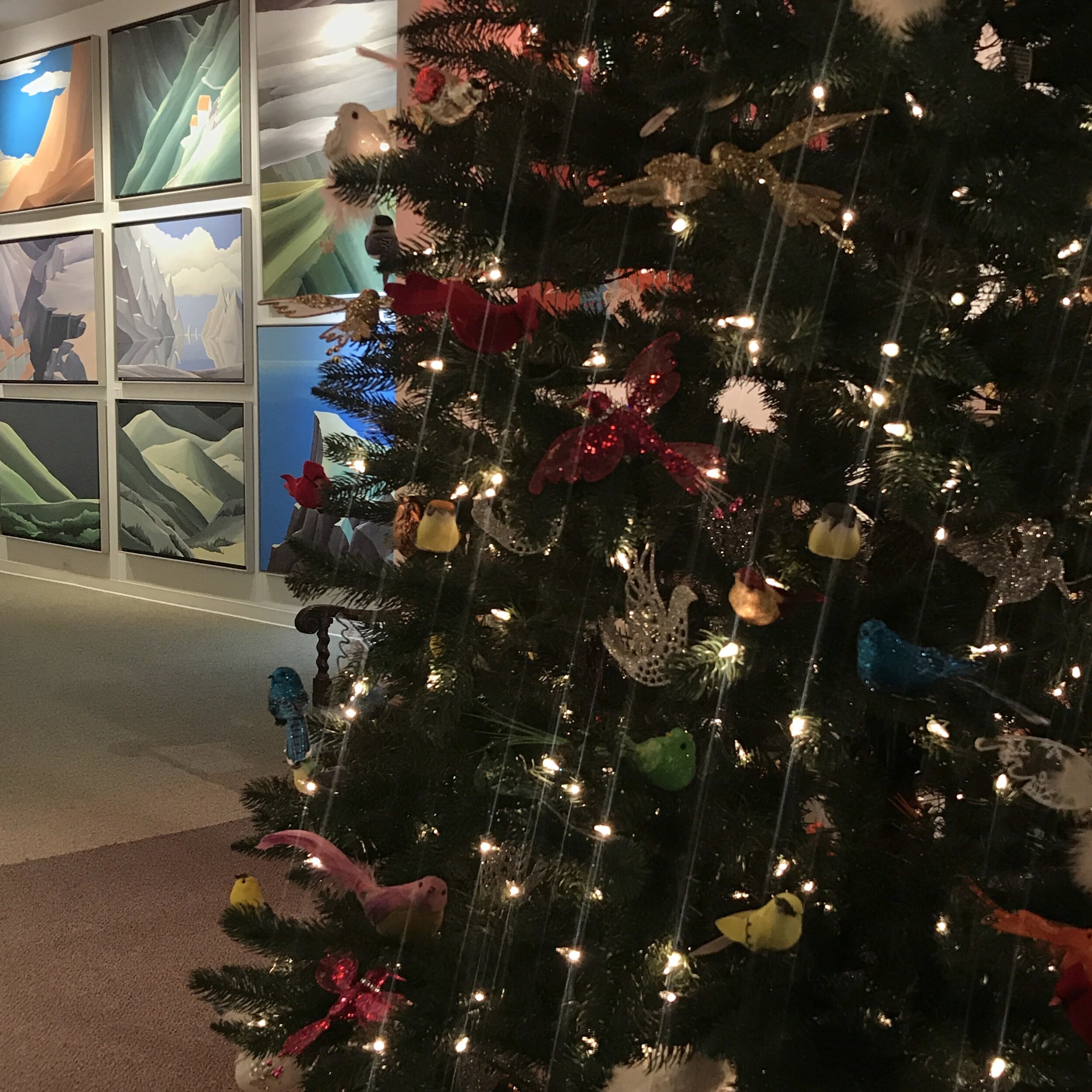 Winter Newsletter 2020