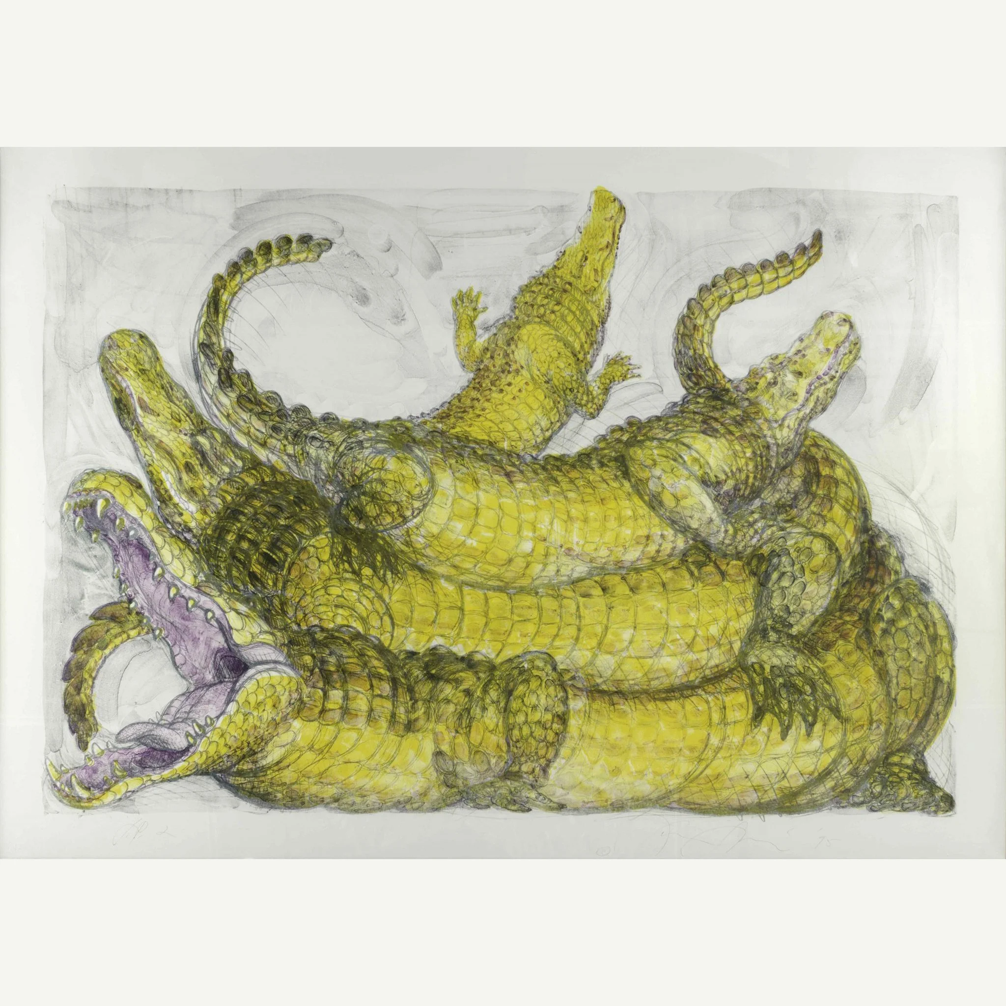 Luis Jimenez (RAiR 1972 - 73)