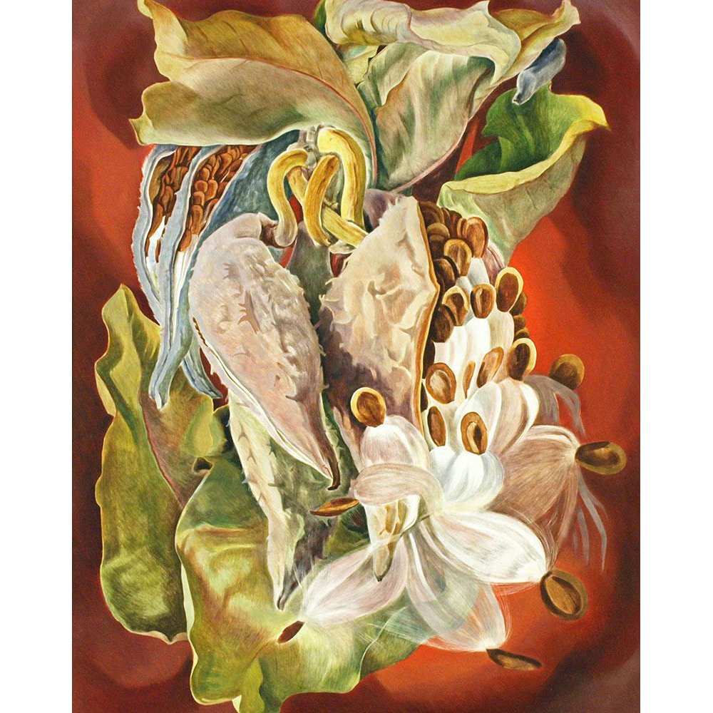 Barbara Latham (RAiR 1967 - 68)