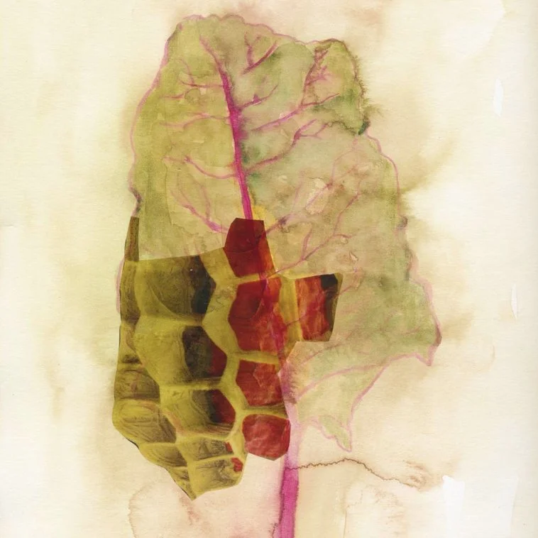 Claire Beaulieu (RAiR 2001)