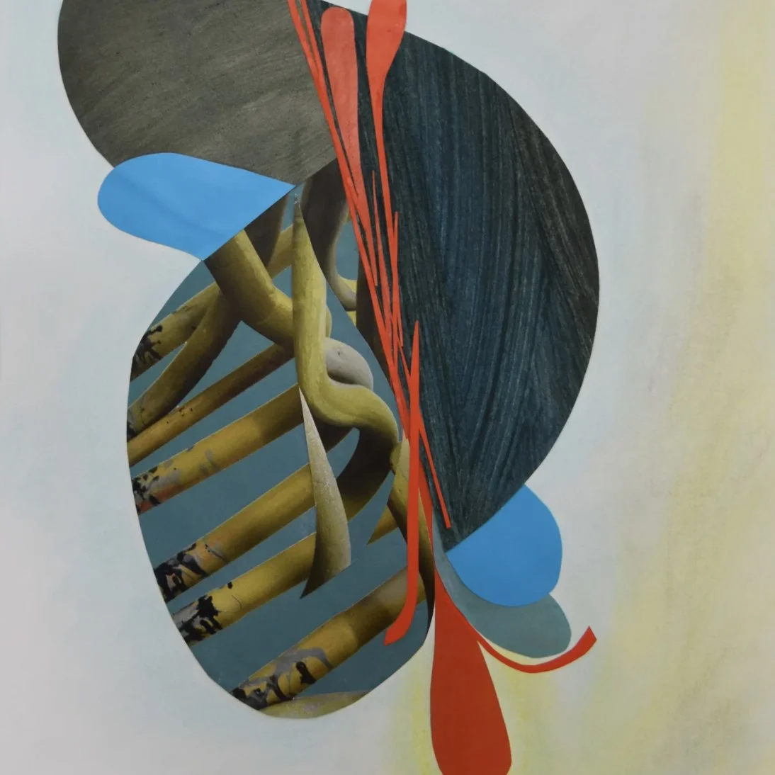 Coleen Sterritt (RAiR 1994)