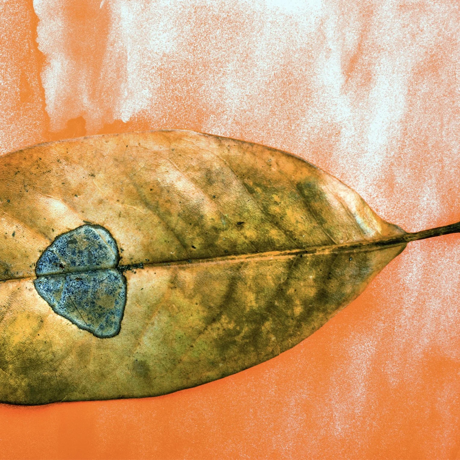 SV Randall (RAiR 2019 - 20)