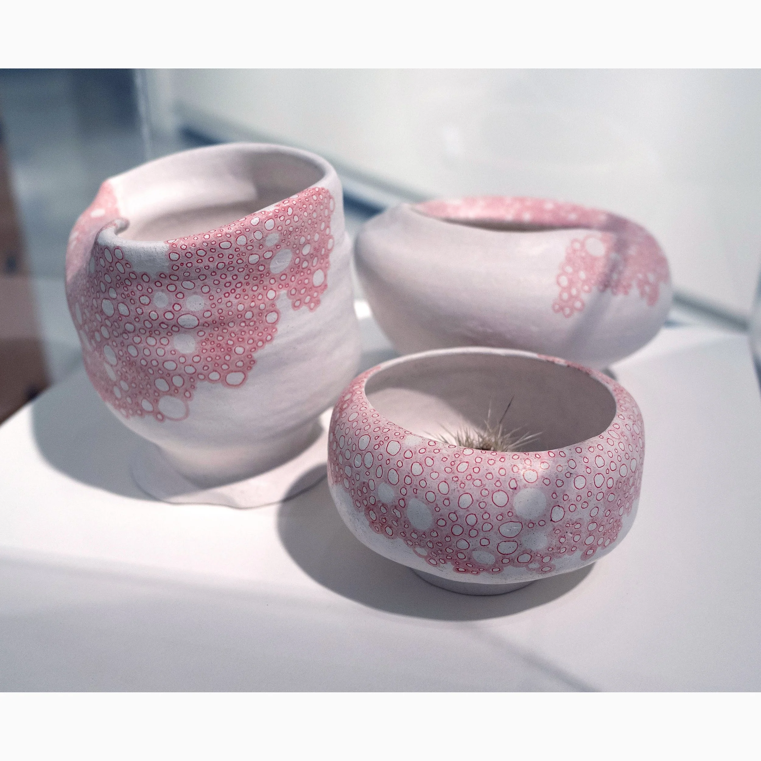 Andrea Jespersen (RAiR 2016-17)