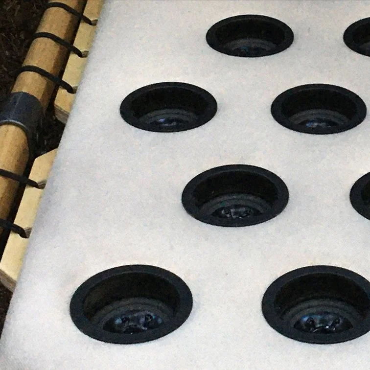 Ven Voisey (RAiR 2012-13)