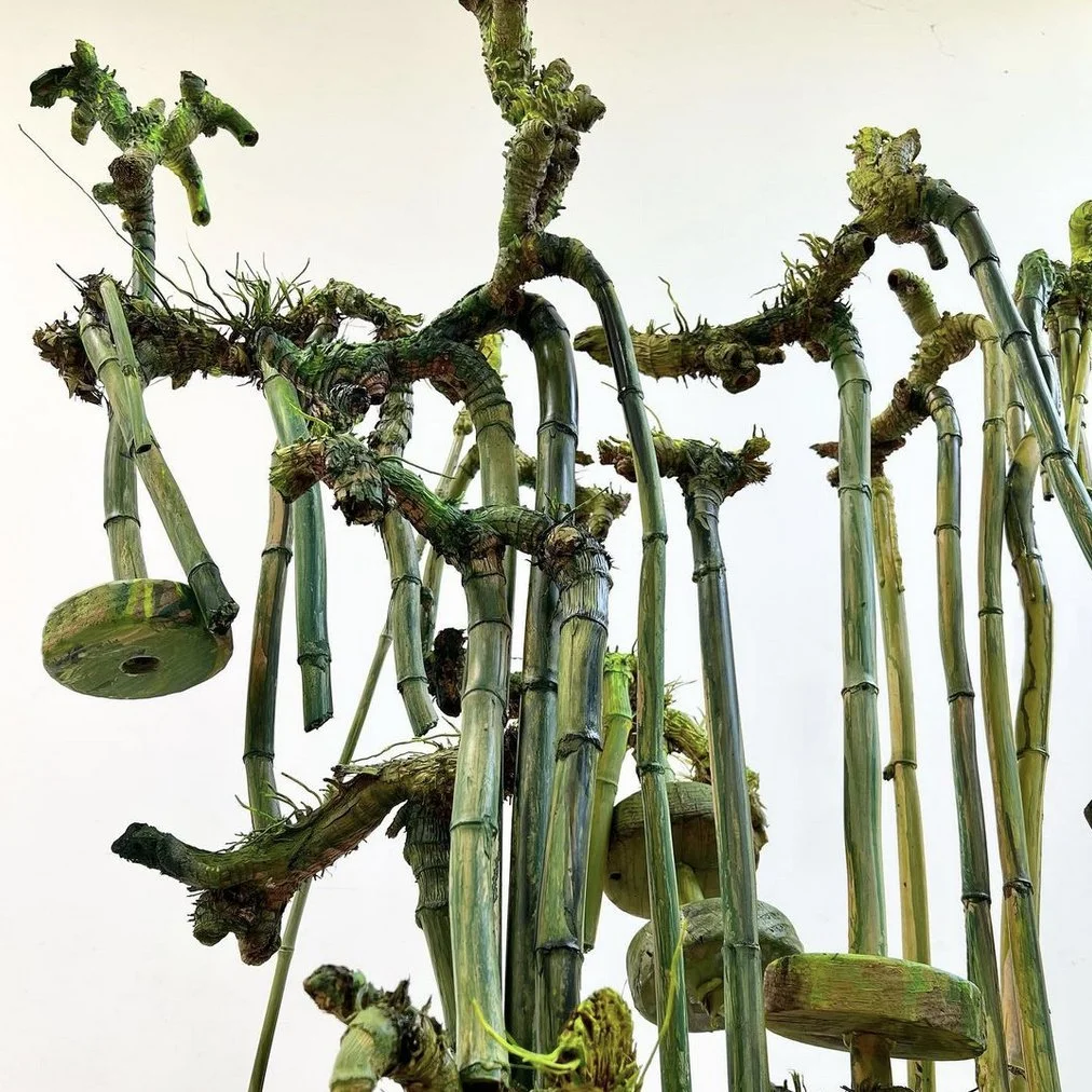 Coleen Sterritt (RAiR 1994)