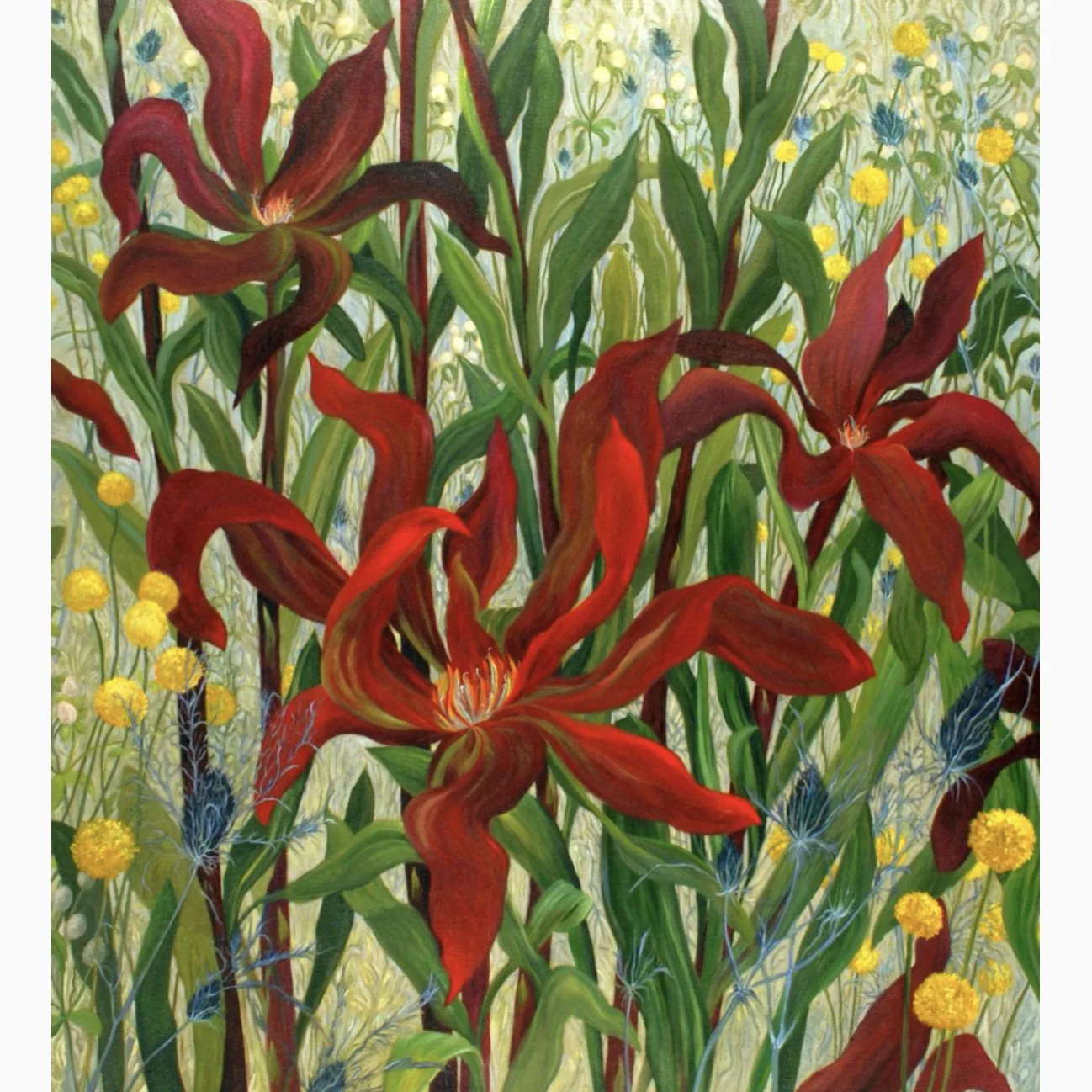 Jane Abrams (RAiR 1985-86)