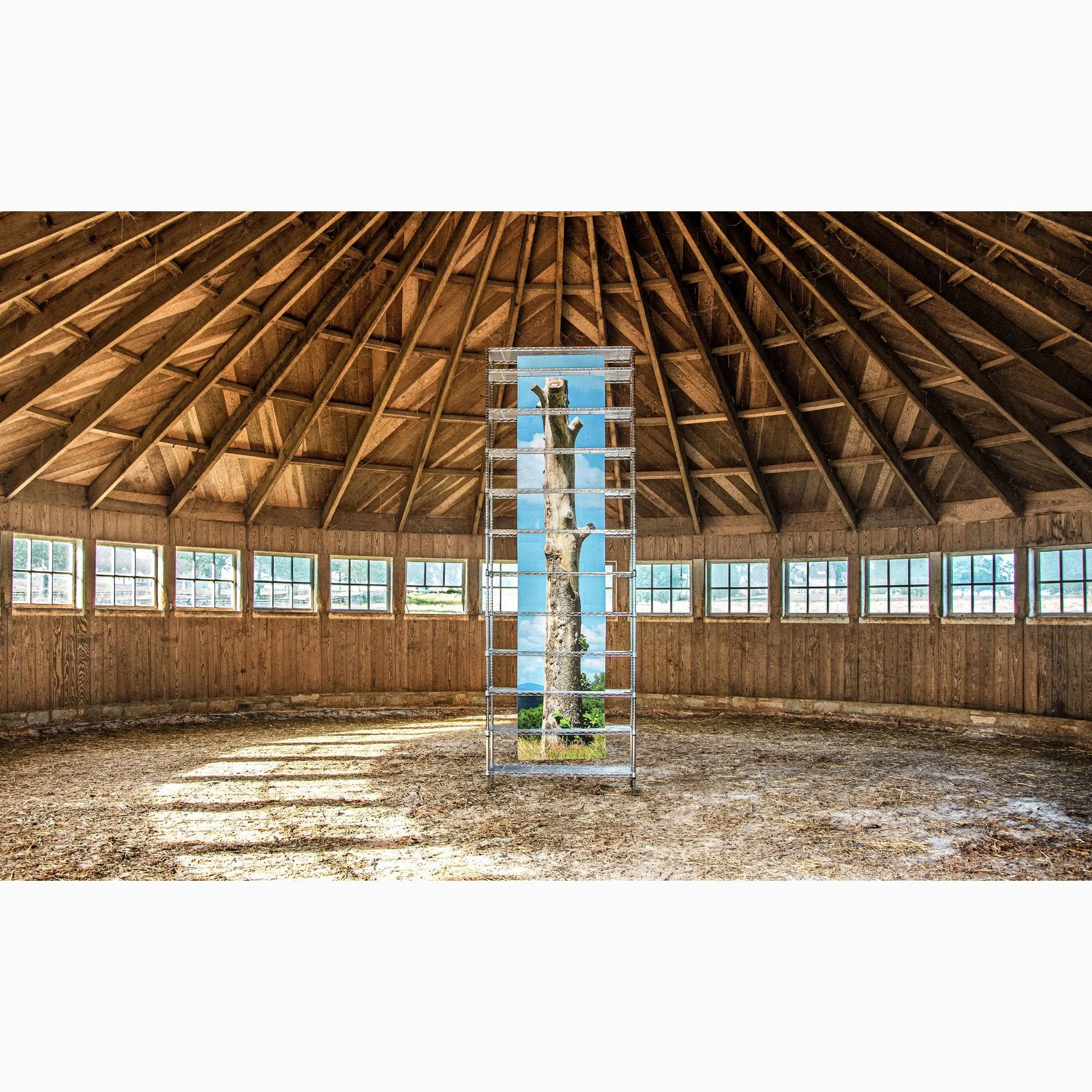 SV Randall (RAiR 2019-20)