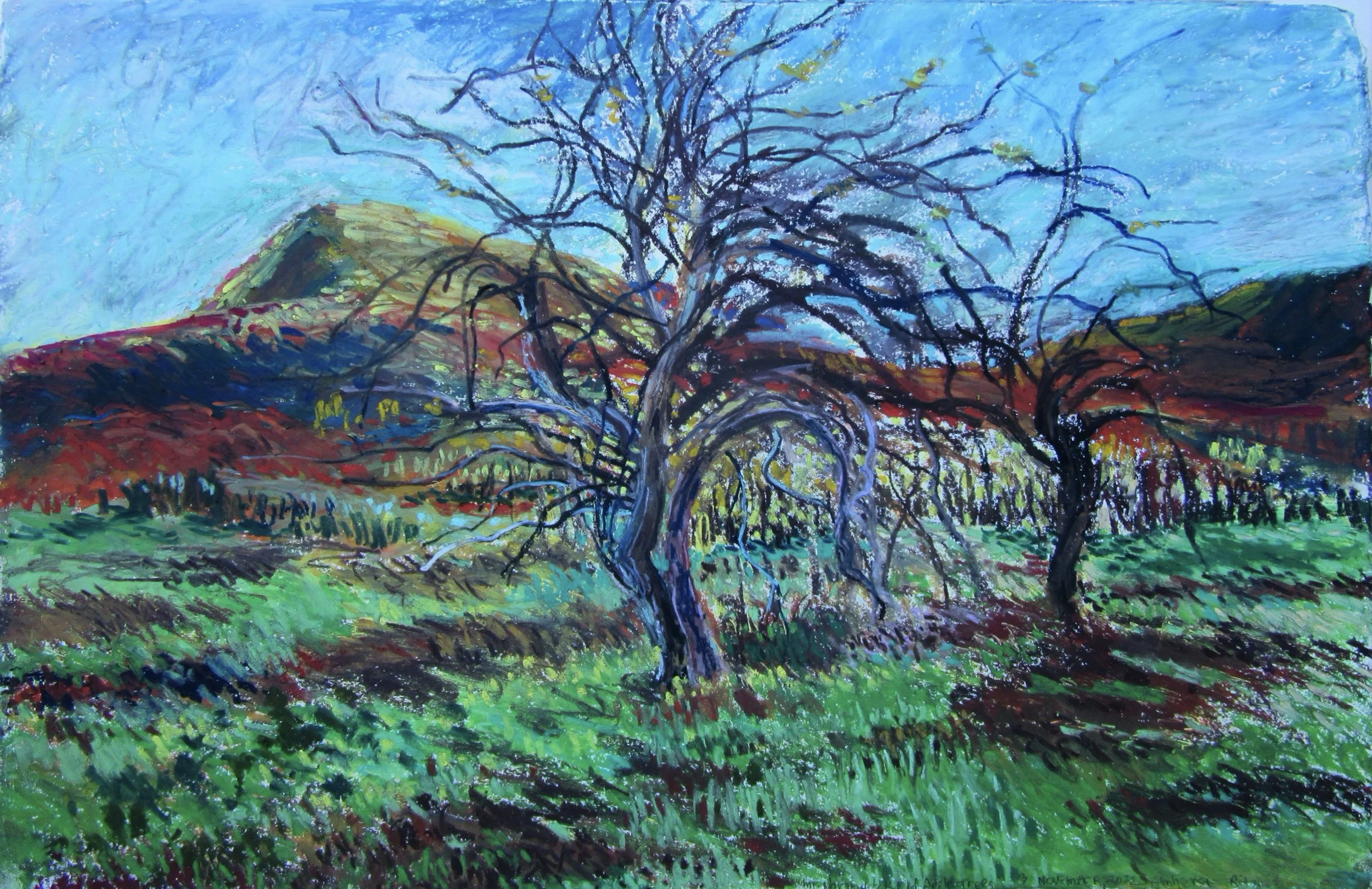 Lorna Ritz (RAiR 1975)