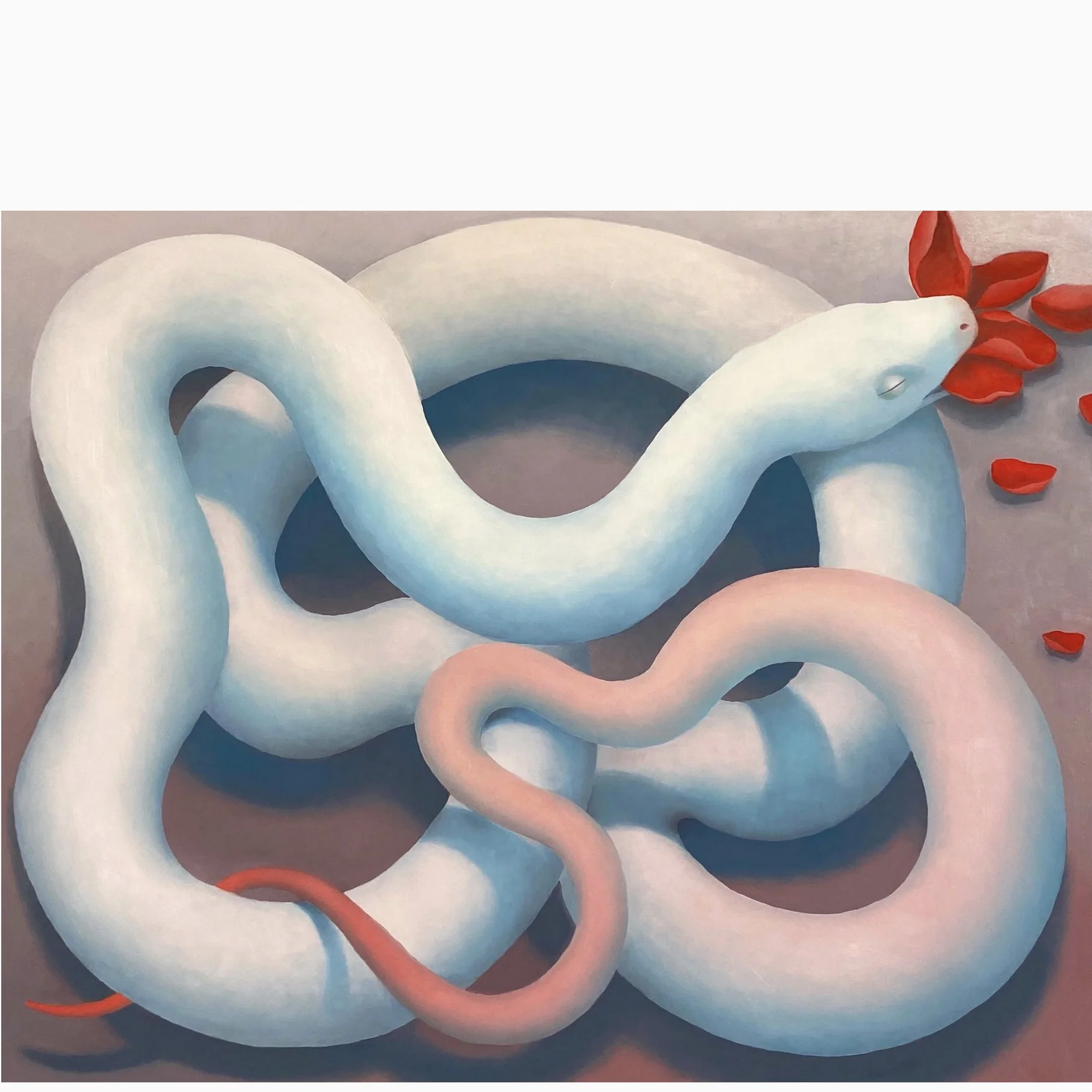  RAiR Solo Exhibition: Ash Eliza Williams (RAiR 2025-26)