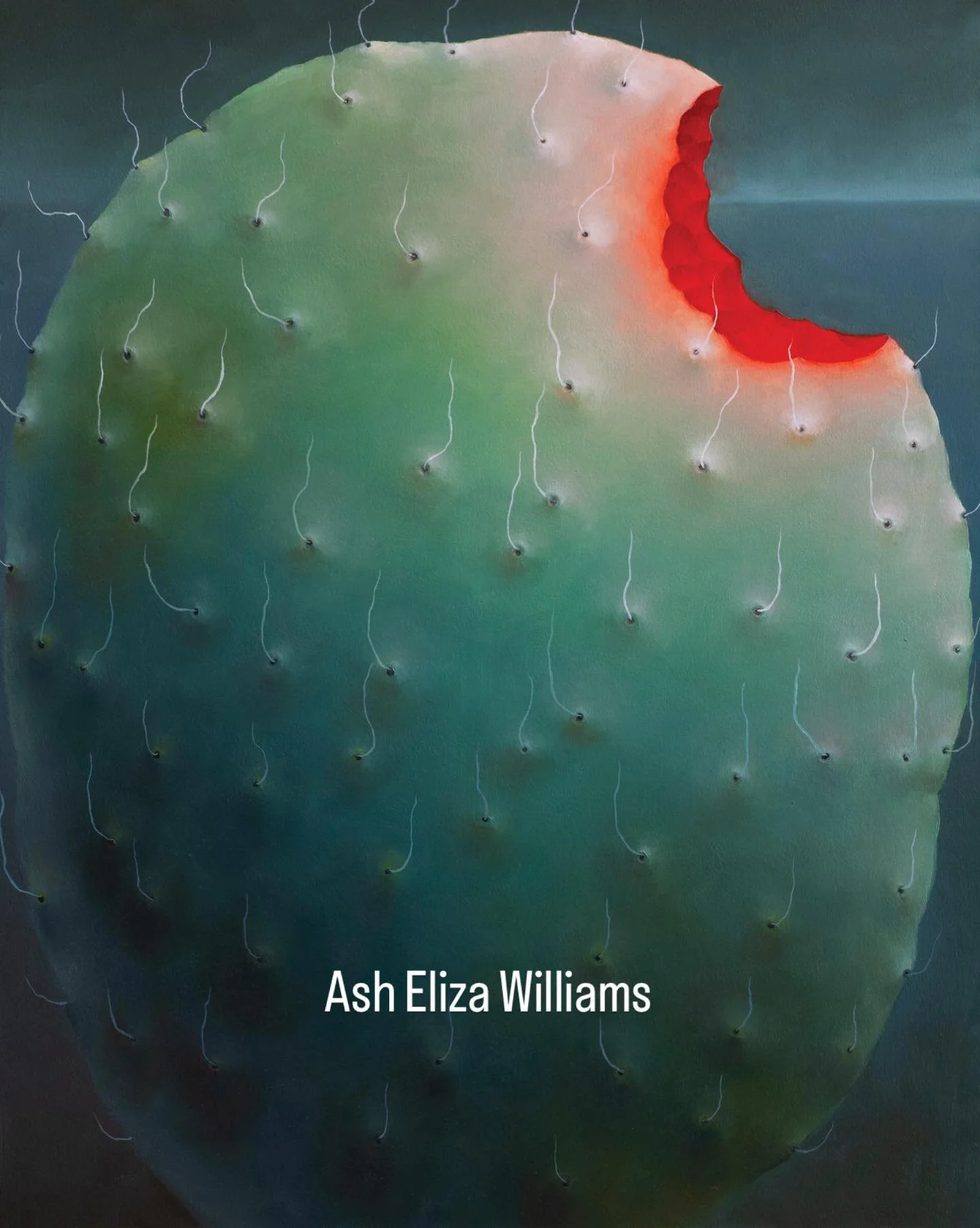 RAiR Exhibition:
Ash Eliza Williams (RAiR 2025-26)
&ldquo;Bitter Lake&rdquo;
March 6 - April 19, 2026

Current Roswell Artist-in-Residence Ash Eliza Williams (RAiR 2025-26) Solo Exhibition at the Anderson Museum of Contemporary Art

Artist Talk and O