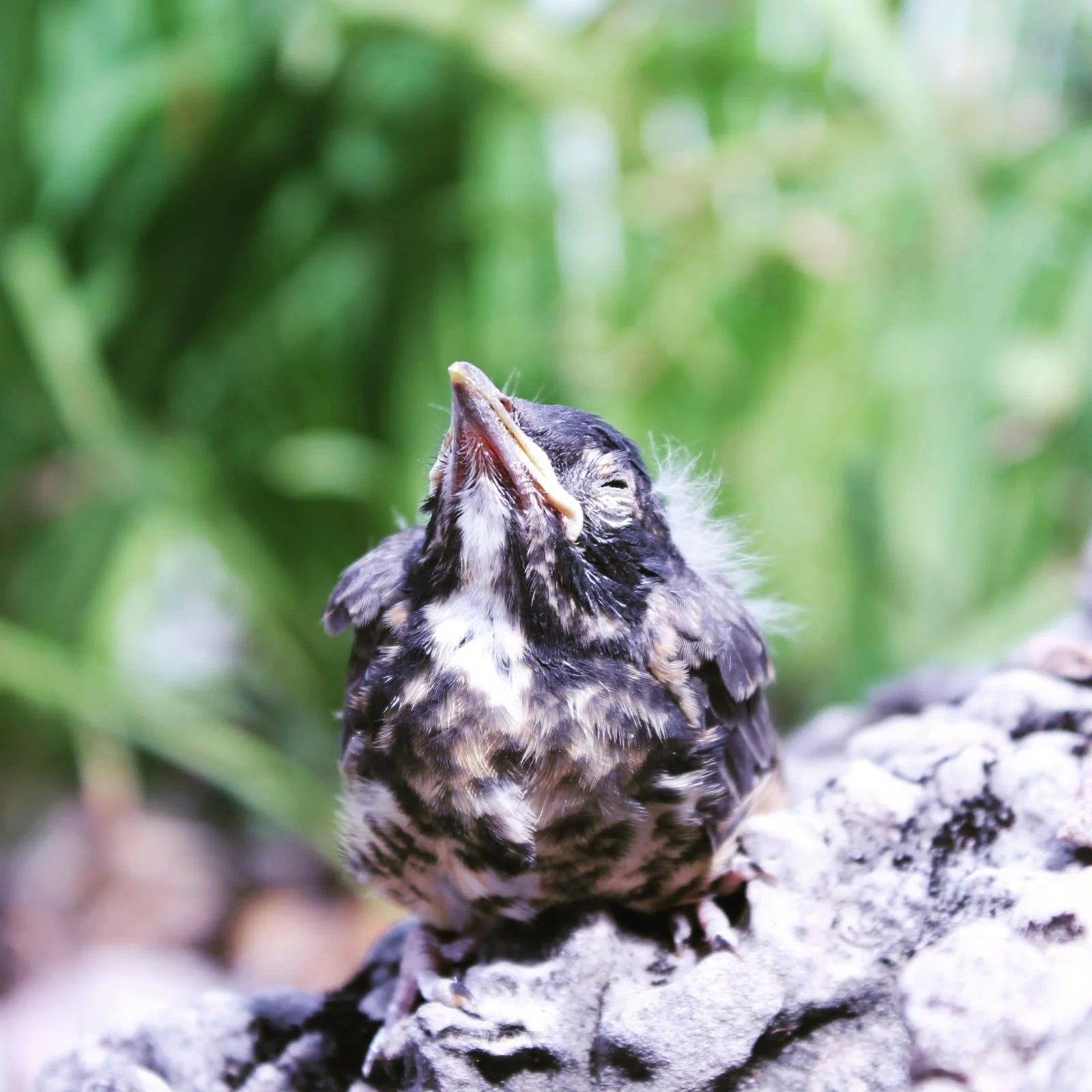 Sun Baby-Photography.jpg