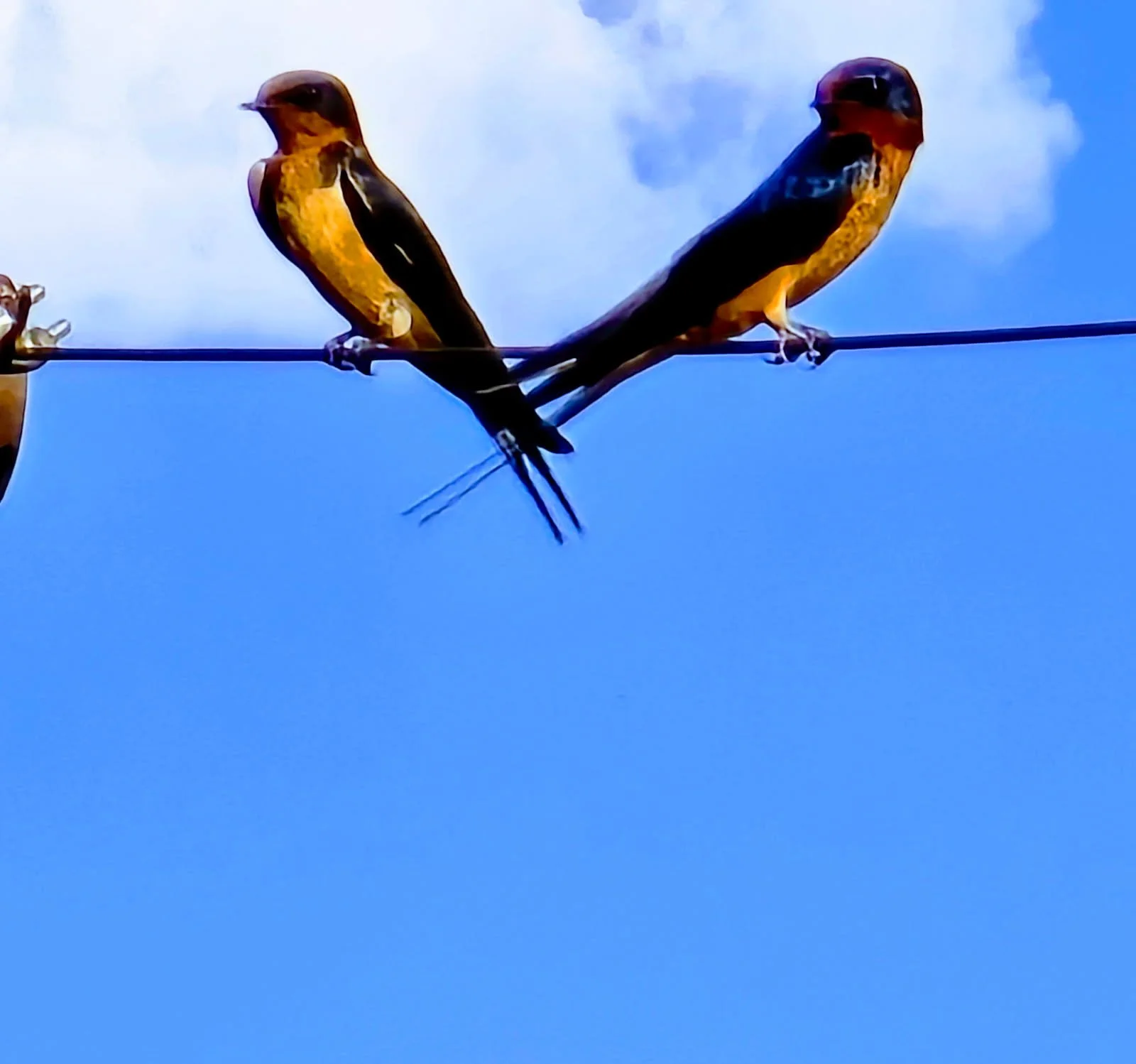 Too Tired-Photography.jpg