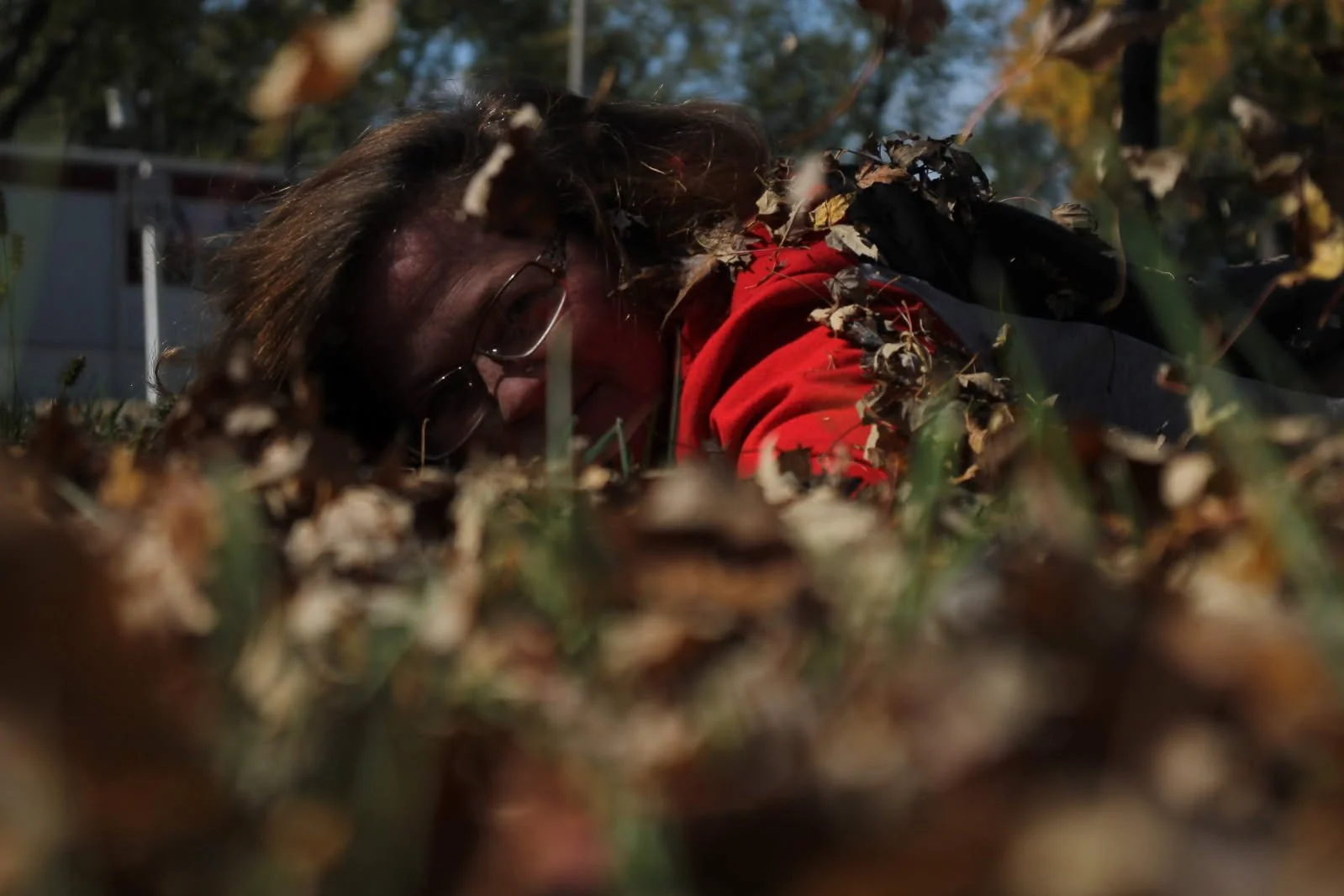 Unknown Fall-Photography.jpg