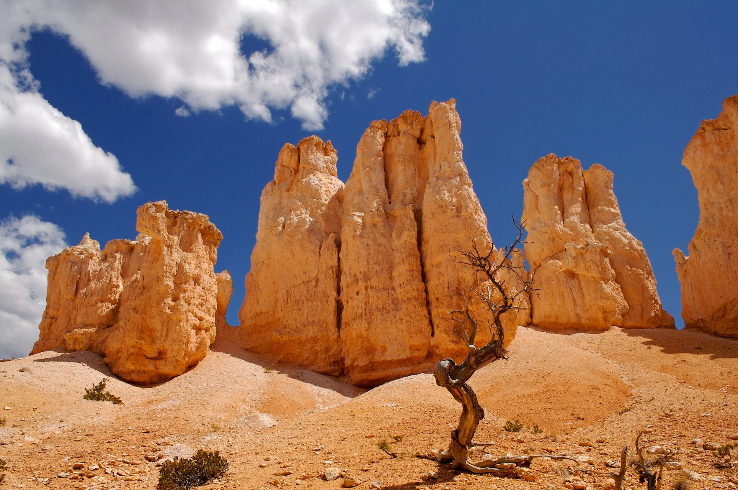 Bryce_Canyon  013 - Version 2.jpg