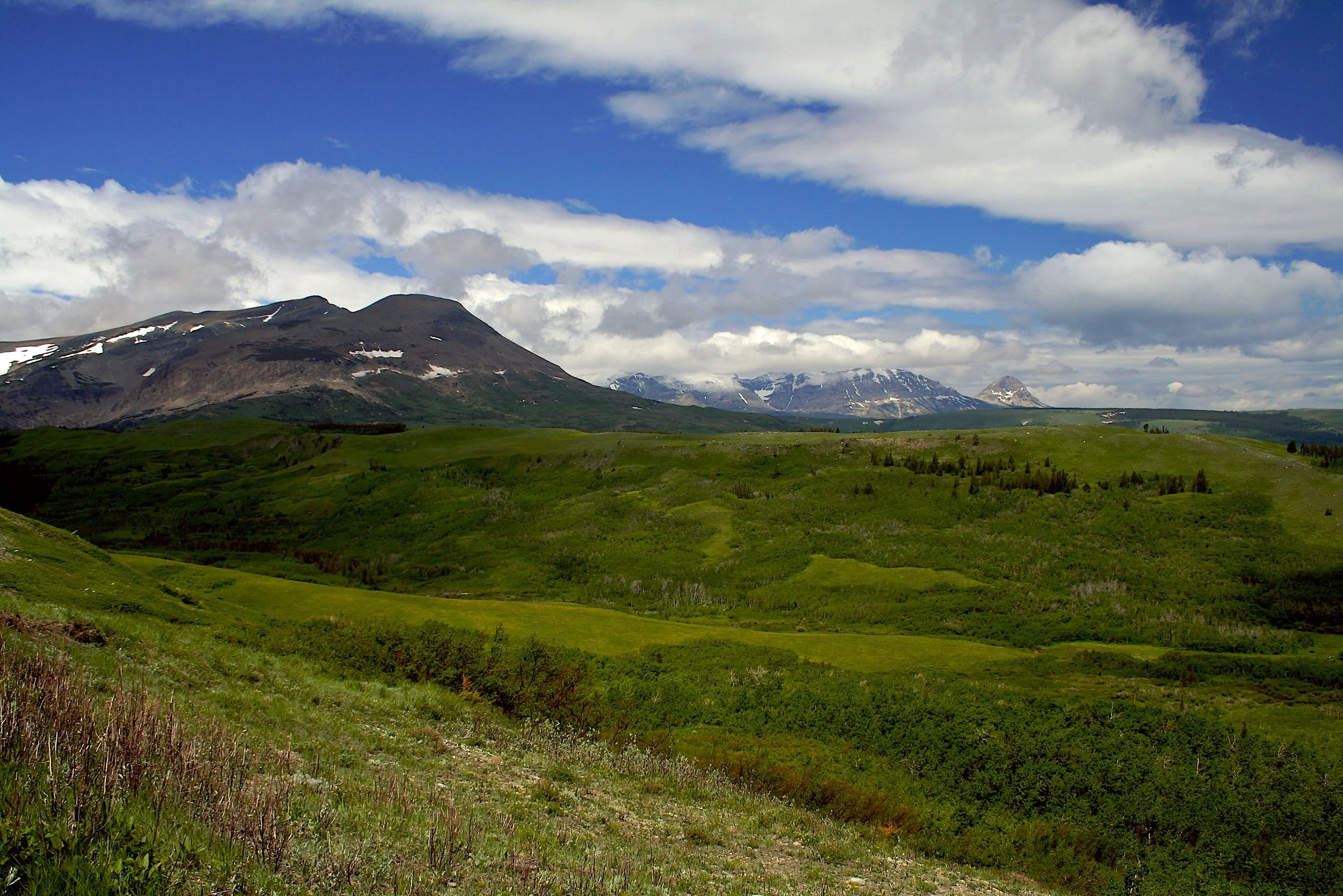 Montana  104 - Version 2.jpg