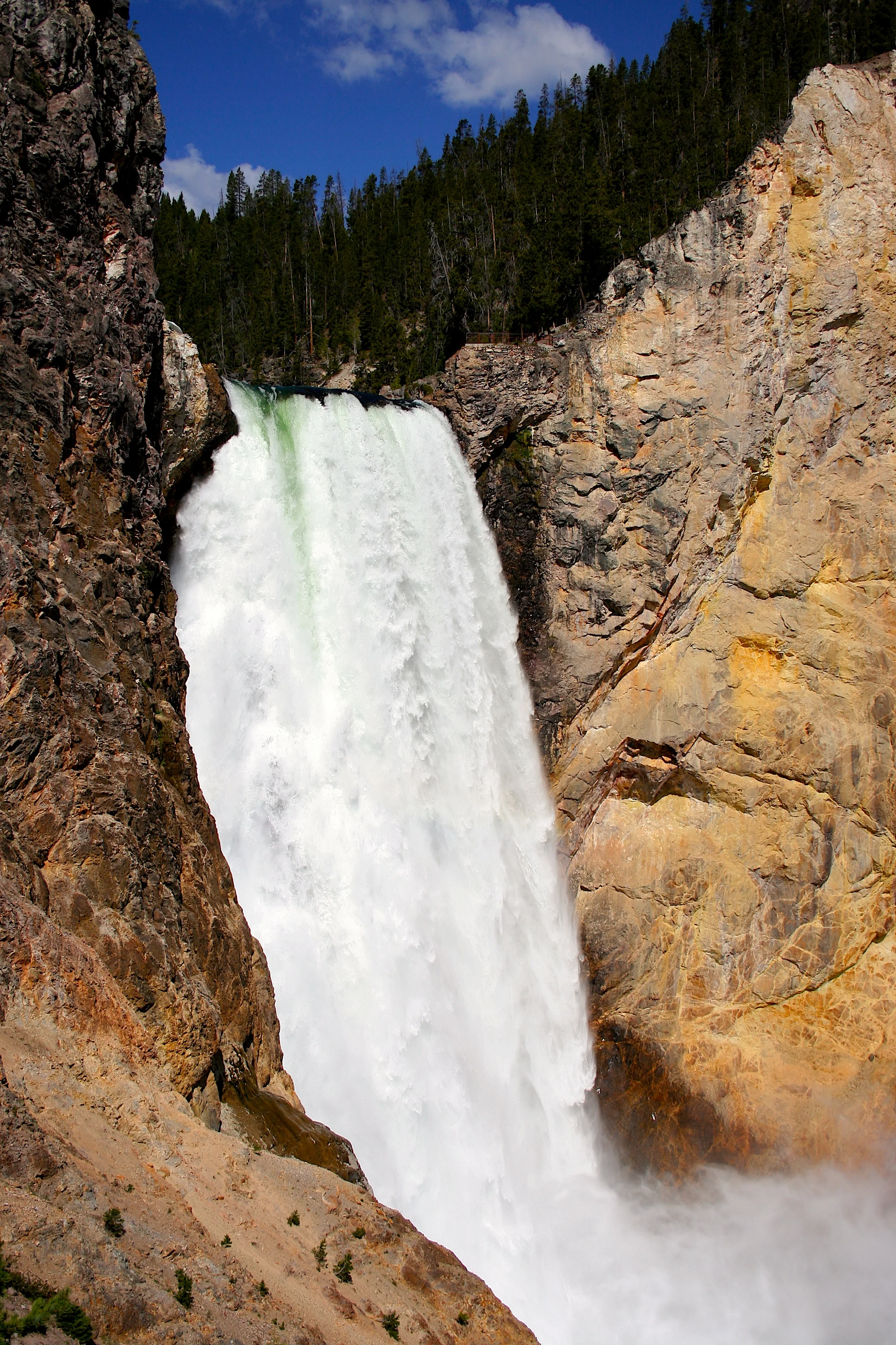 Yellowstone  105 - Version 2.jpg