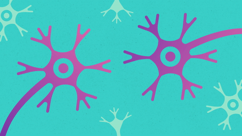 ezgif.com-video-to-gif (26).gif