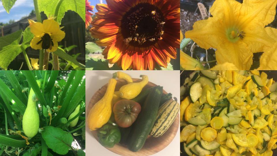 Worm Composting Class (5).jpg