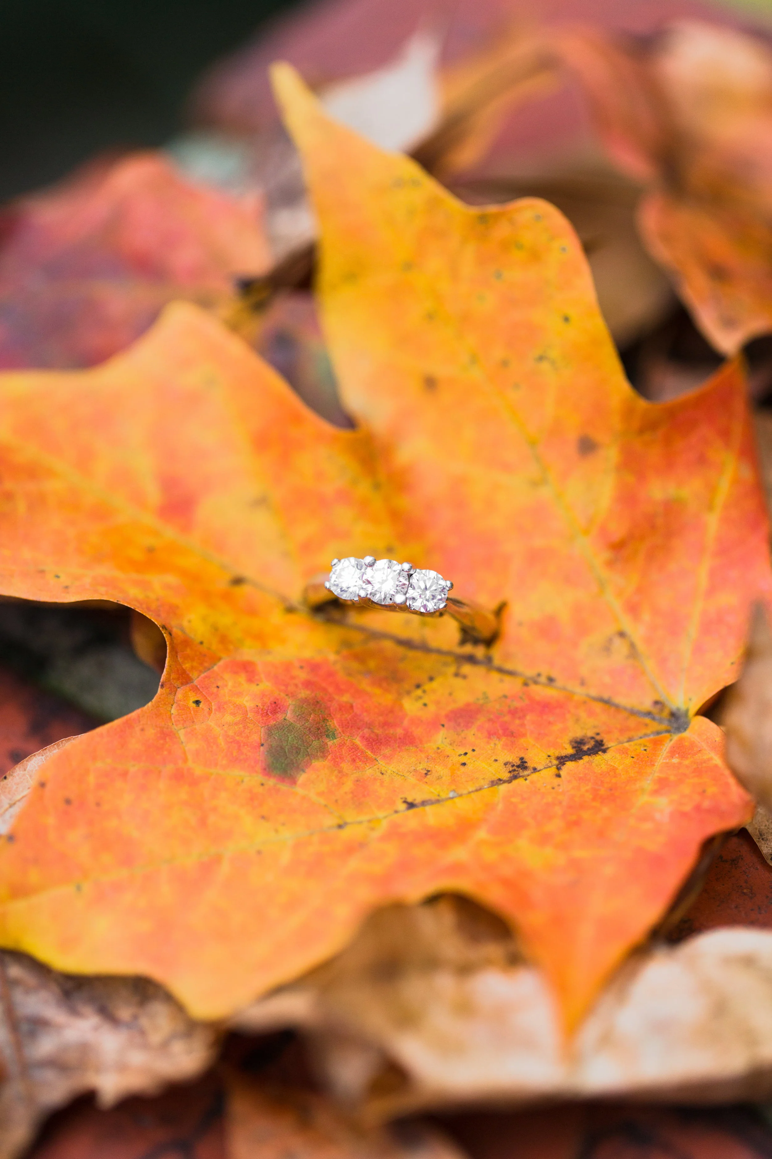 MooreWedding-38-2.jpg