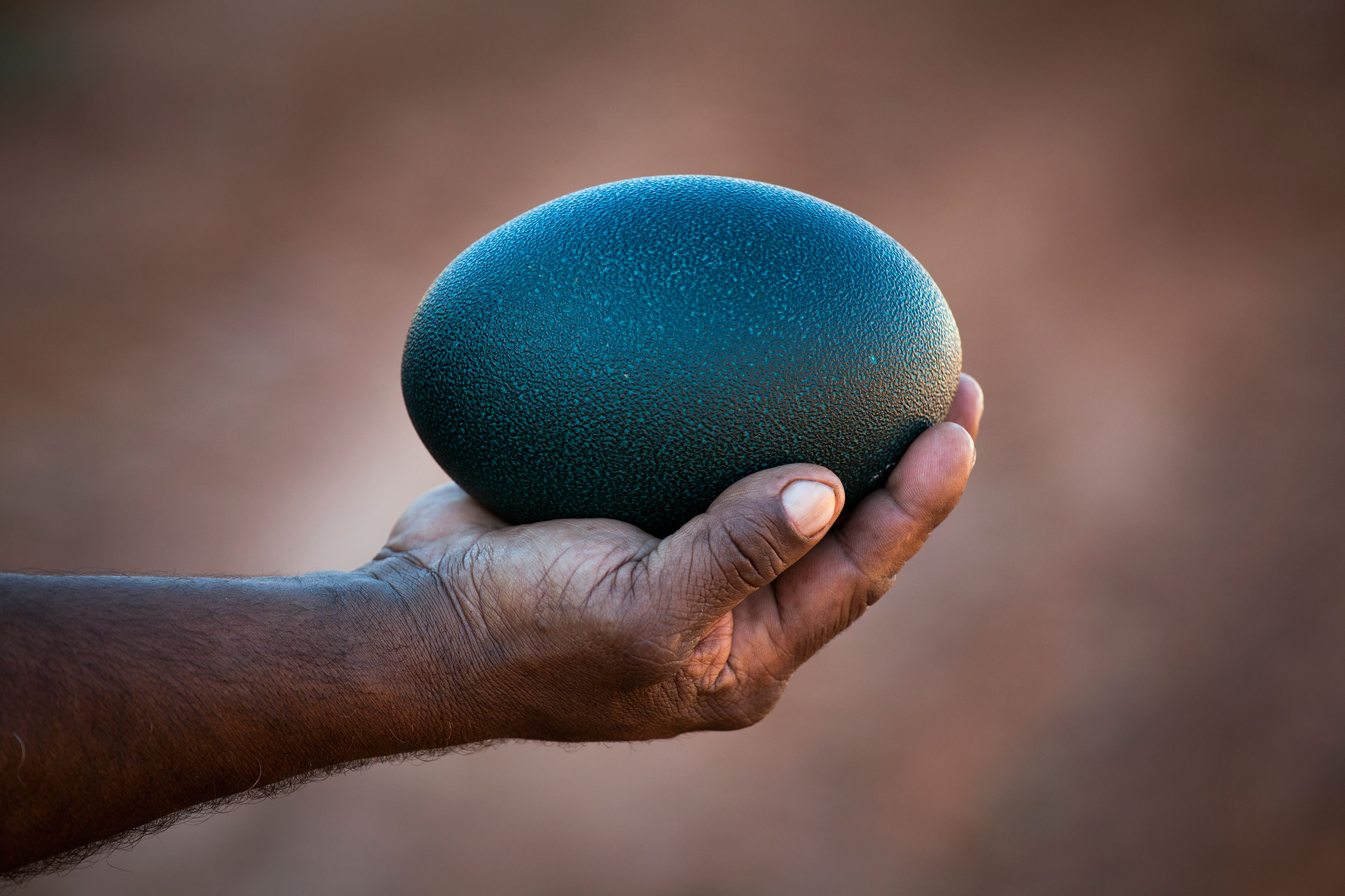 Peter holding an emu egg, Mutawintji National Park, NSW.