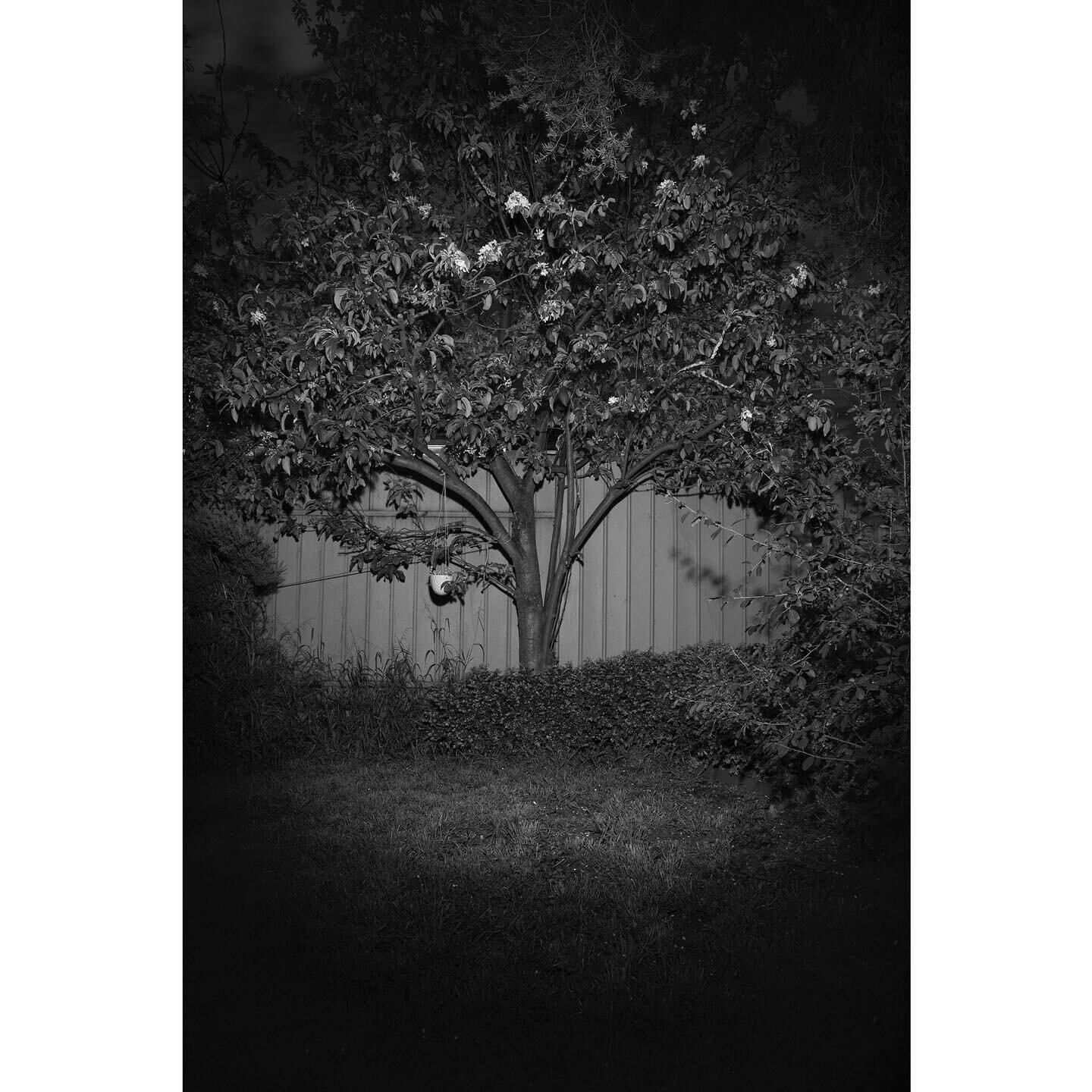 Finally getting around to posting my photo that was a semi-finalist in the Head On Photo Awards, in the Landscape category. It's called &quot;Last night of lockdown&quot; and is part of the series &quot;Together, and alone&quot; which explores the is