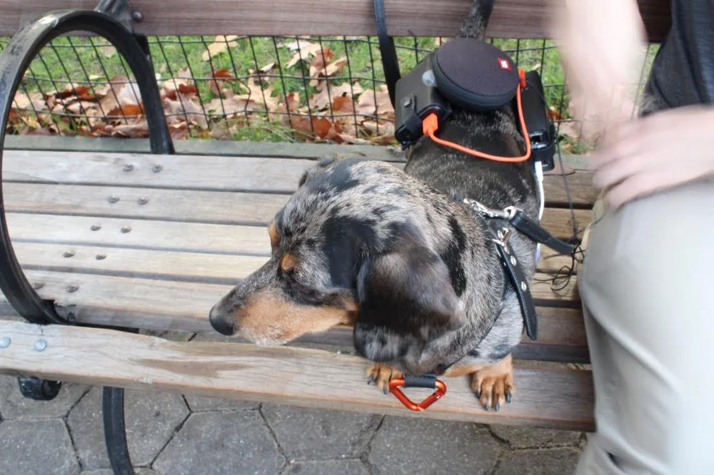 Elly with her gear on, in the park. Photo: Jane Sosi