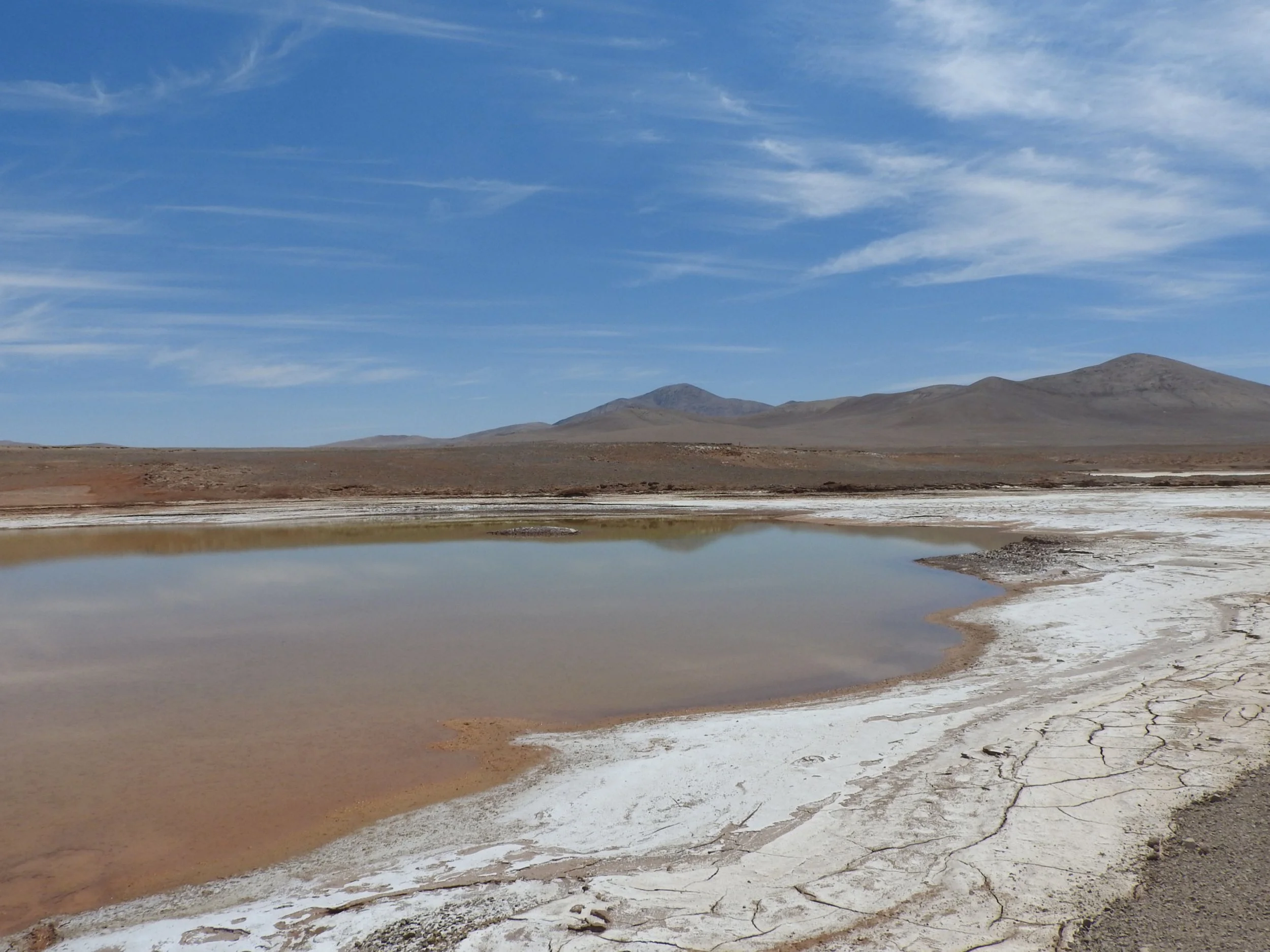 Never-before-seen lagoons created by recent freak storms in Chile’s Atacama Desert have killed a majority of its soils’ microbial life. This photo was taken after rains in 2017. All images courtesy of Armando Azua-Bustos.