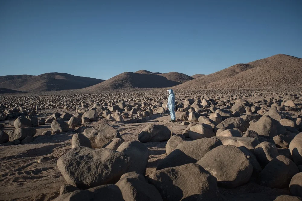 Scientists look for remaining signs of life in the Atacama in the aftermath of climate-change induced rains.