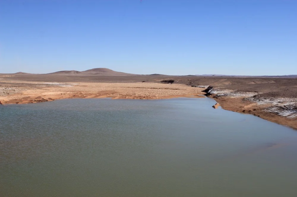 Scientists testing the waters of lagoons caused by unusual rains discovered mass extinctions of microbes that had been uniquely adapted to survive in hyperarid conditions.