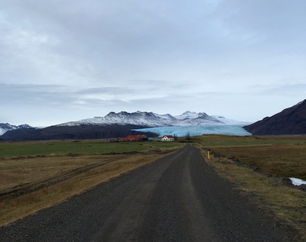 Many farms on the south coast of Iceland have glaciers in their back pastures. Photo: M Jackson