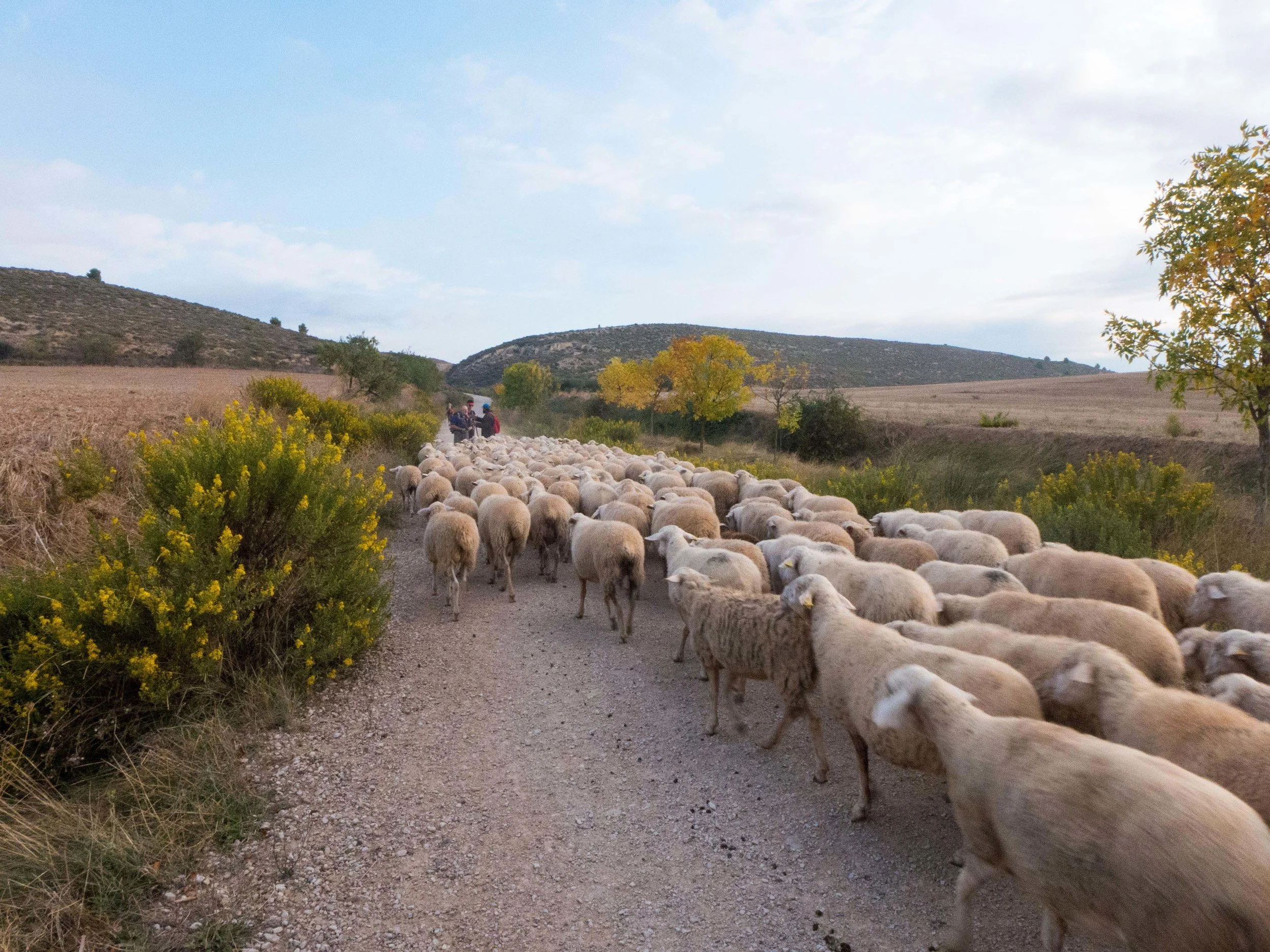 20151002_Spain_Camino_956.jpg