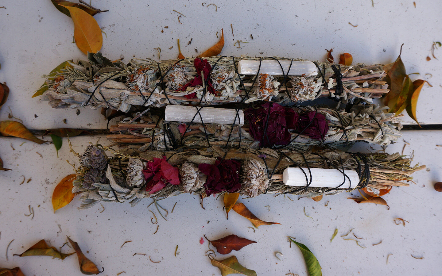Wild Sage 5.jpg