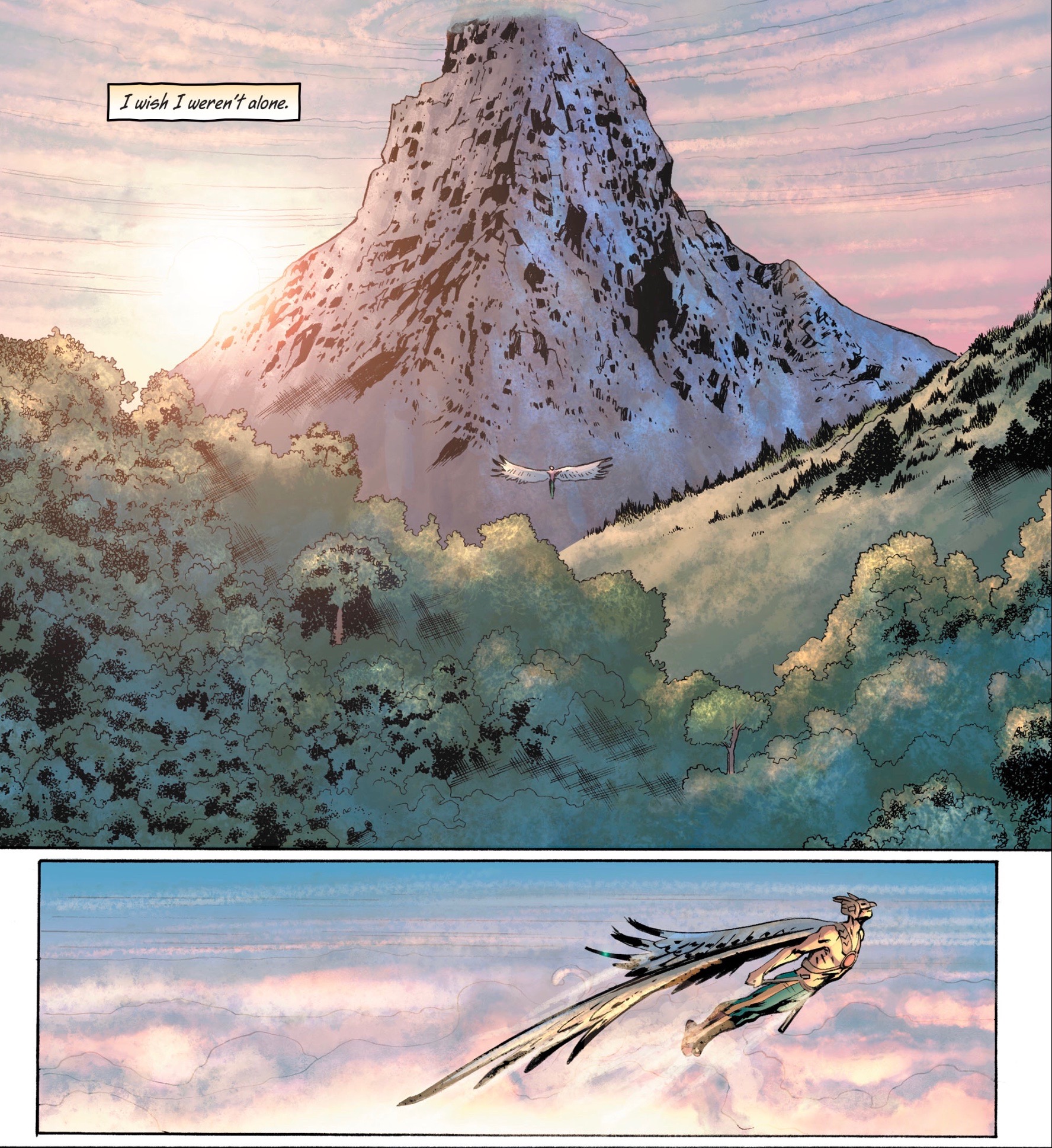Perhaps the most important panels in the entire series are those in which Hawkman takes to the sky. Artwork from Hawkman #3.