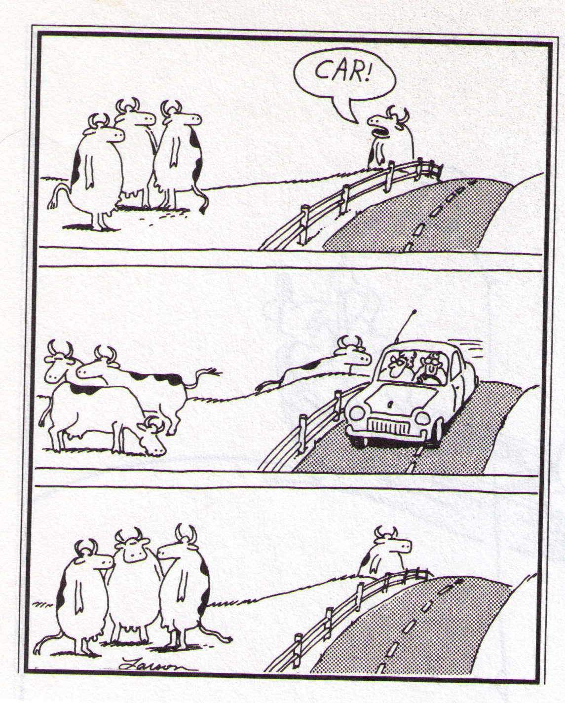 Gary Larson’s The Far Side.