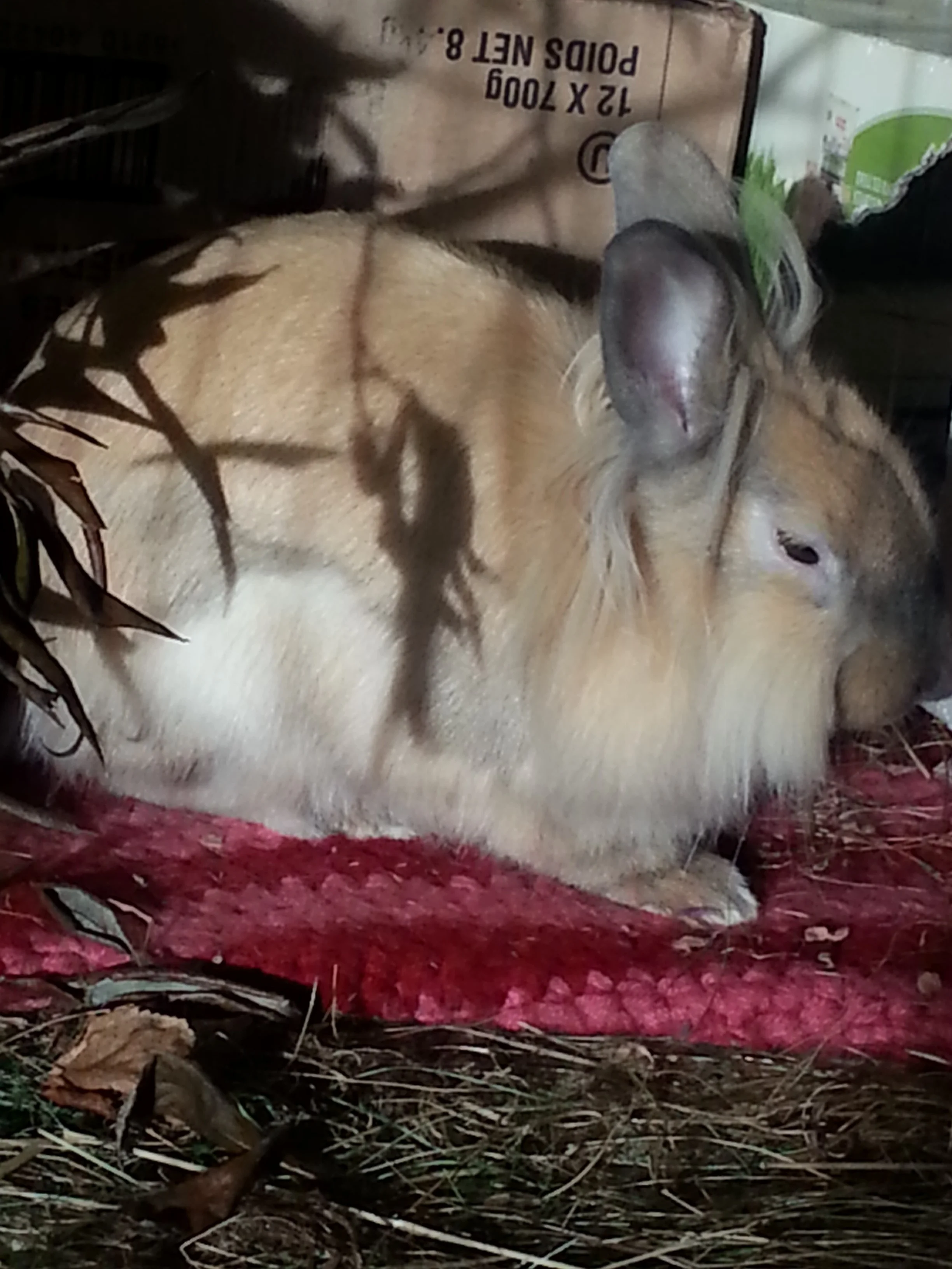 Deep Dish. Deep Songs. Suppertime. Wise hun bun.