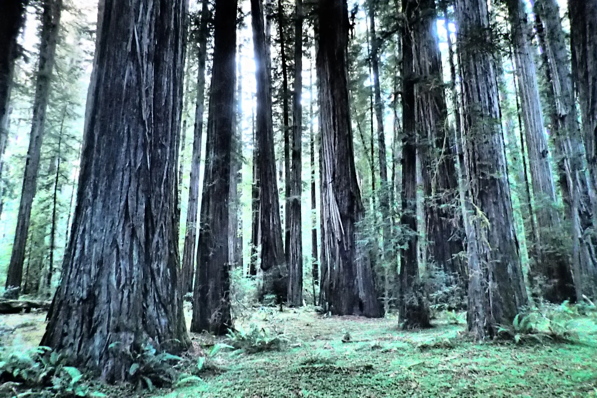 Environmental and Social Justice Work / Riotous Fun