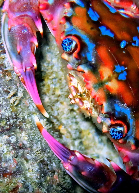 Ether in The Attic - Episode #107 - 20151214