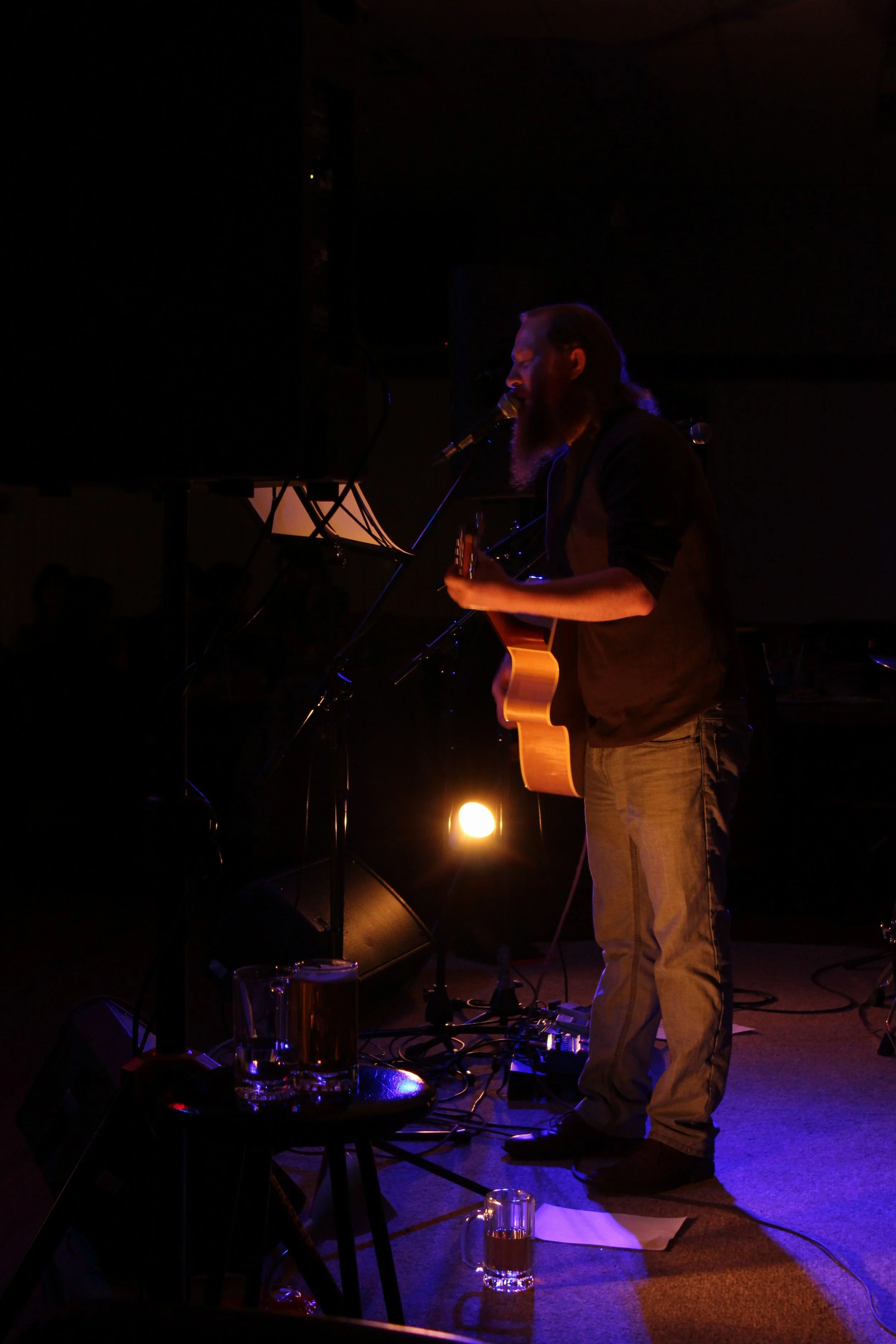 SHOW REVIEW: Songs Carry On; Remembering Musicians Lost in 2016 - January 7, 2017