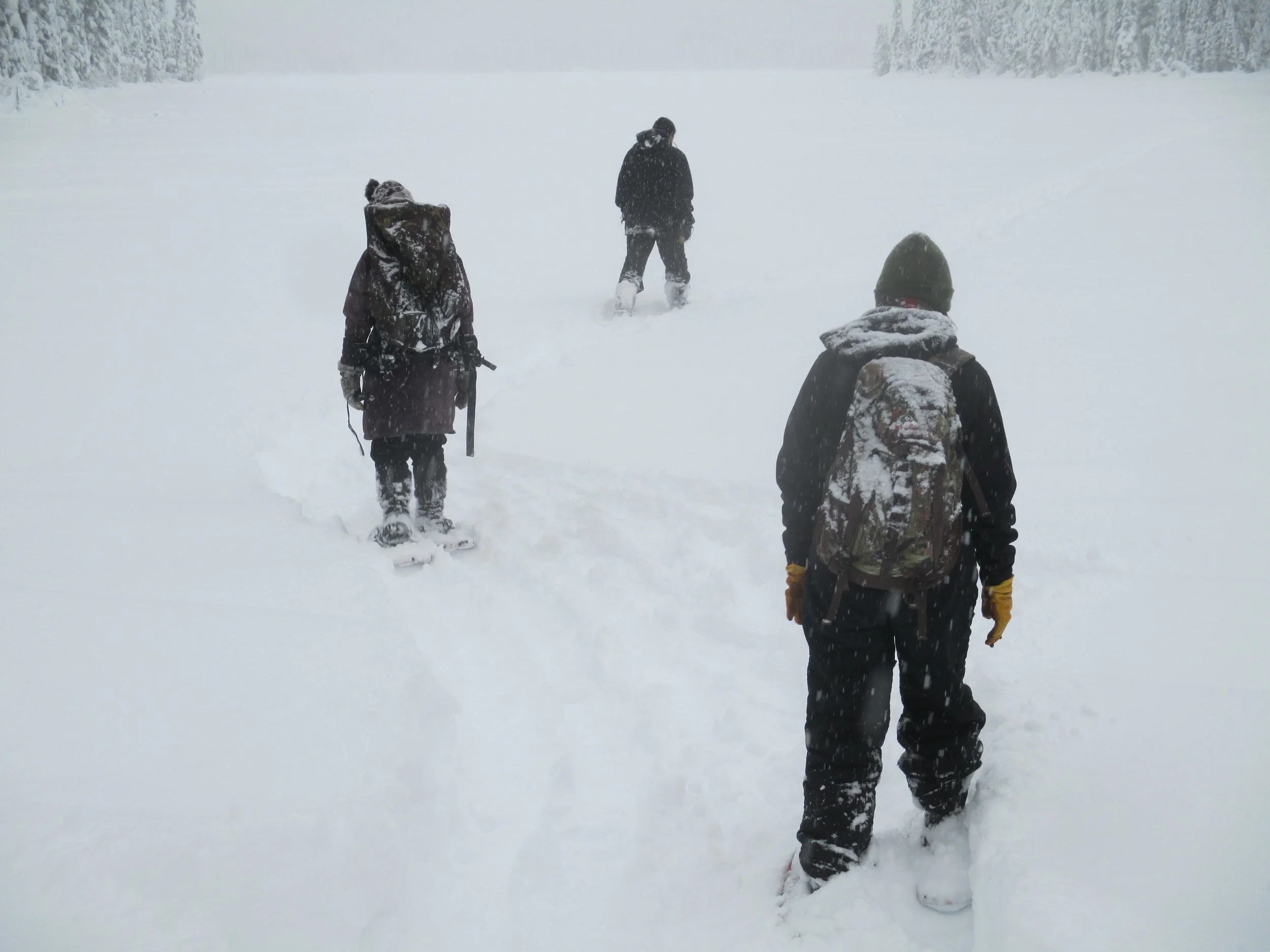 Bridge Duty- A CFUR Mini Series